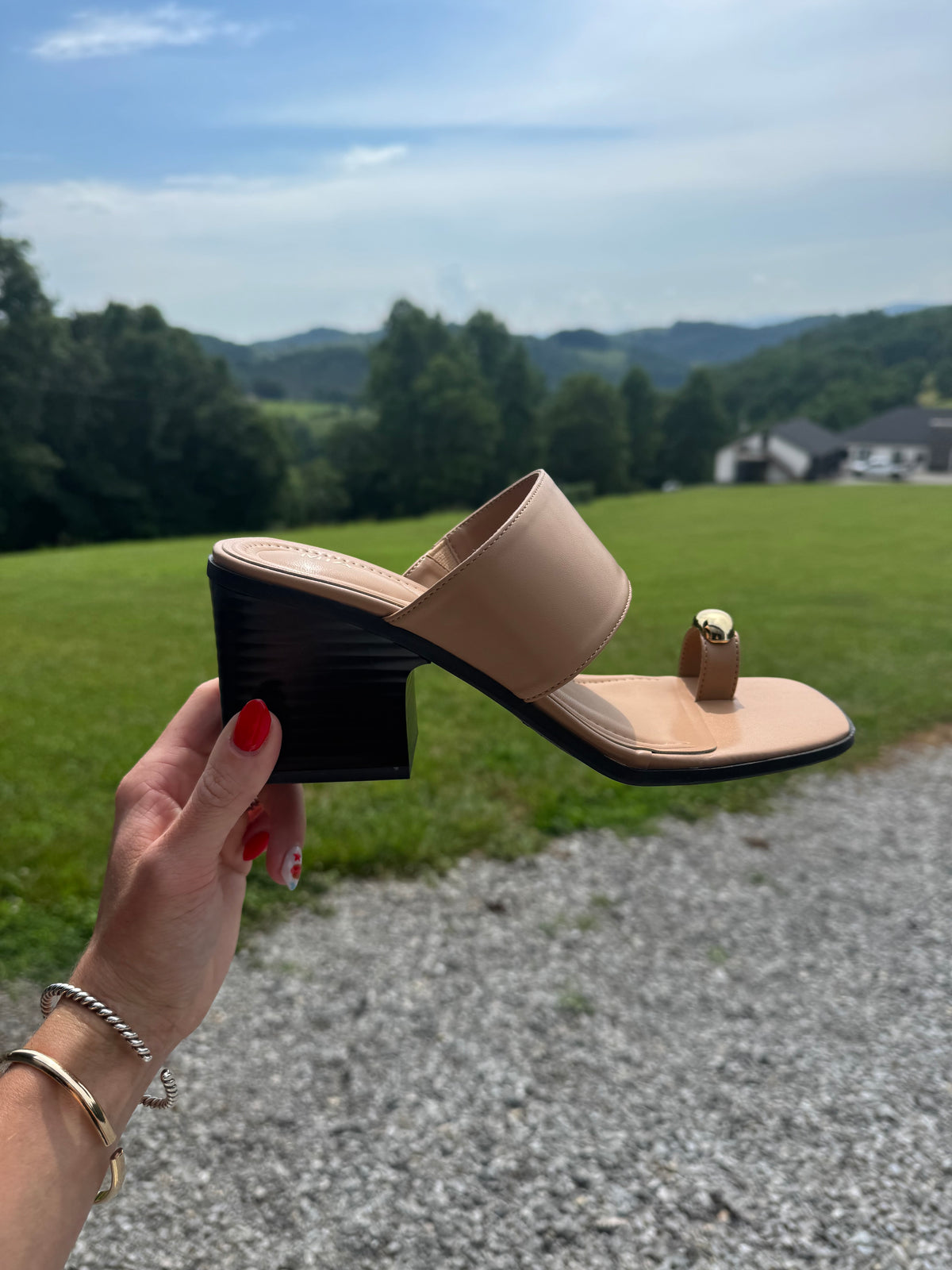 Chestnut Heels